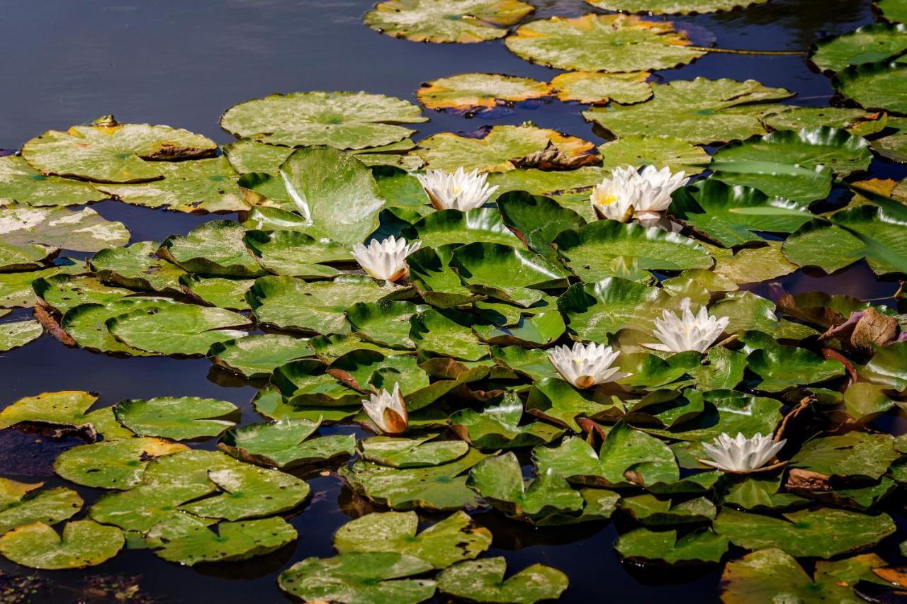 Agriturismo Biologico Autosufficienza Bagno di Romagna Eksteriør bilde