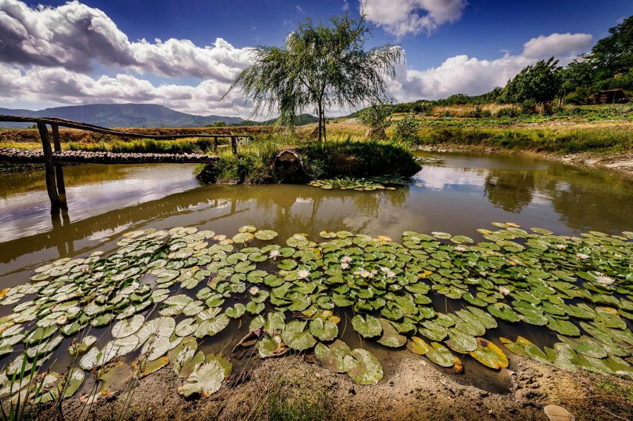 Agriturismo Biologico Autosufficienza Bagno di Romagna Eksteriør bilde