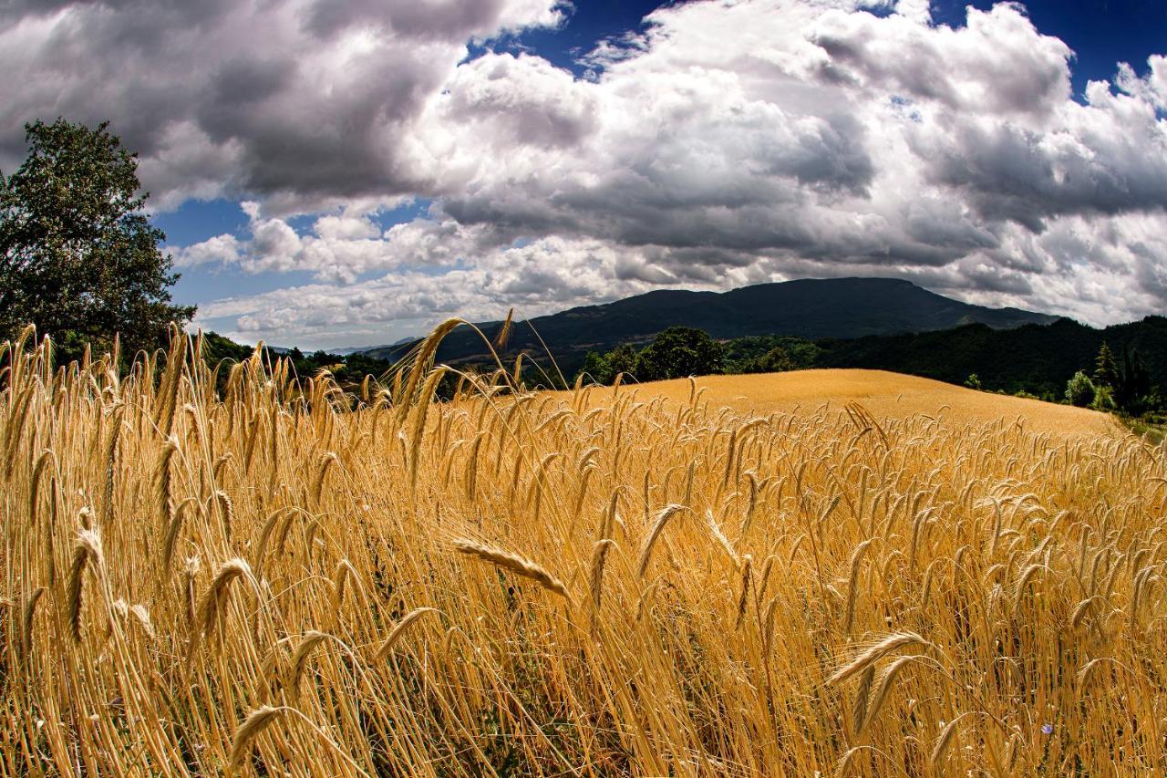 Agriturismo Biologico Autosufficienza Bagno di Romagna Eksteriør bilde