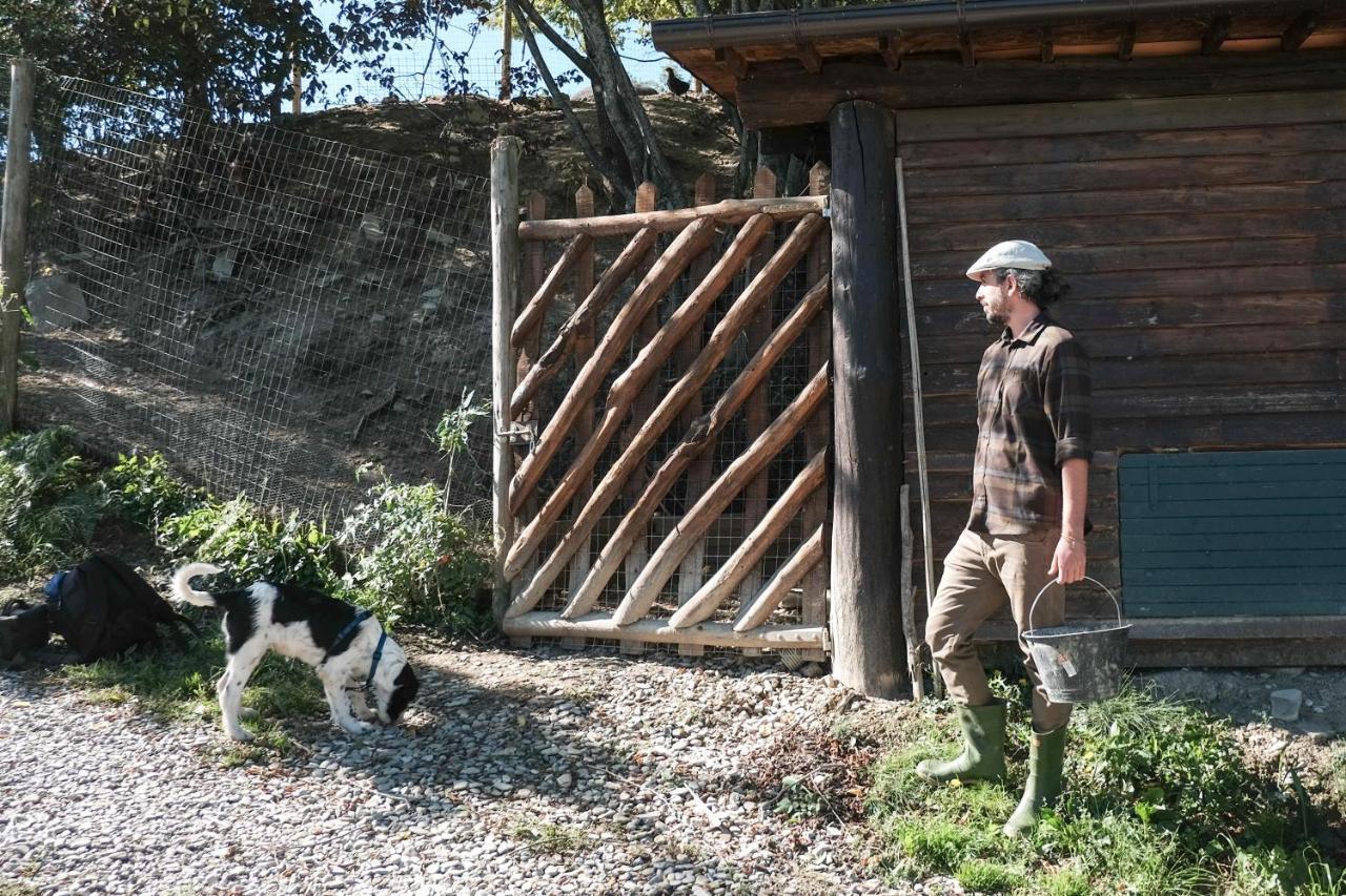 Agriturismo Biologico Autosufficienza Bagno di Romagna Eksteriør bilde