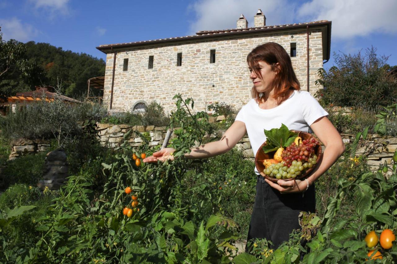 Agriturismo Biologico Autosufficienza Bagno di Romagna Eksteriør bilde