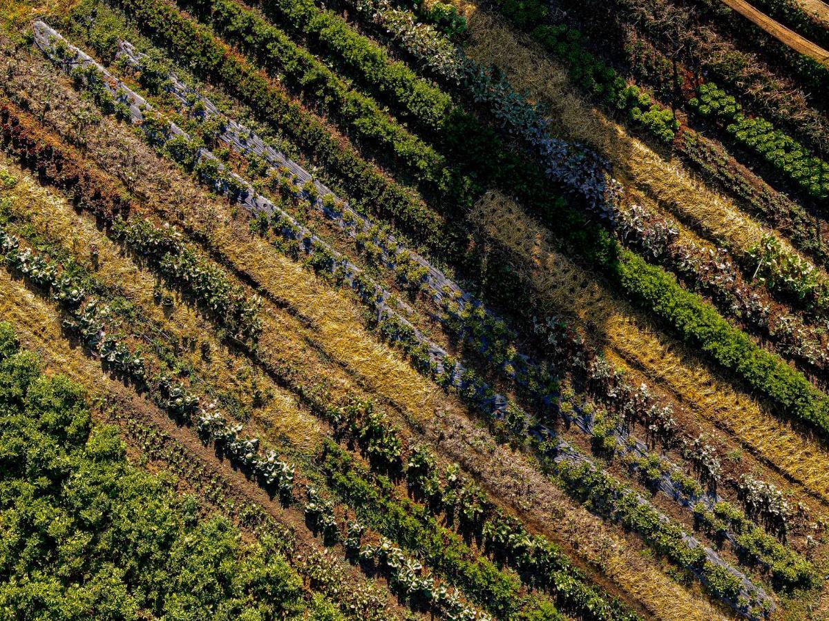 Agriturismo Biologico Autosufficienza Bagno di Romagna Eksteriør bilde